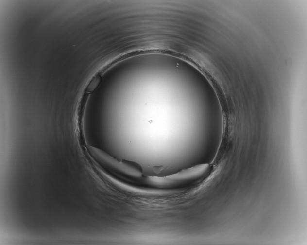 X0000088730789200705311428