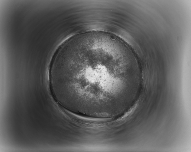 X0000088730790200705311428