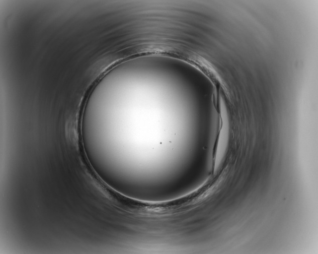 X0000088730794200705311428