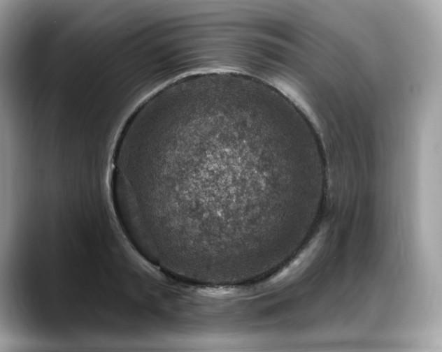 X0000088730797200705311428