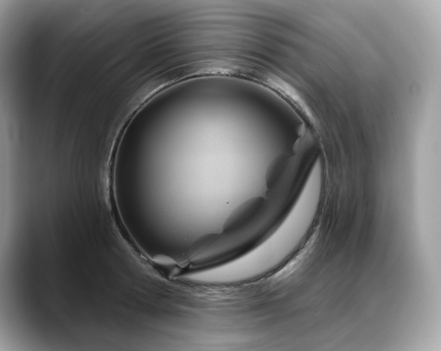 X0000088730802200705311428