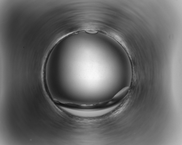X0000088730803200705311428