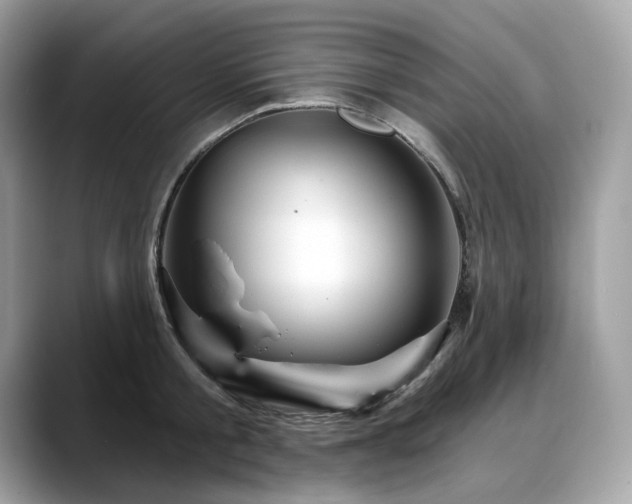 X0000088730805200705311428