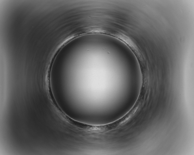 X0000088730806200705311428