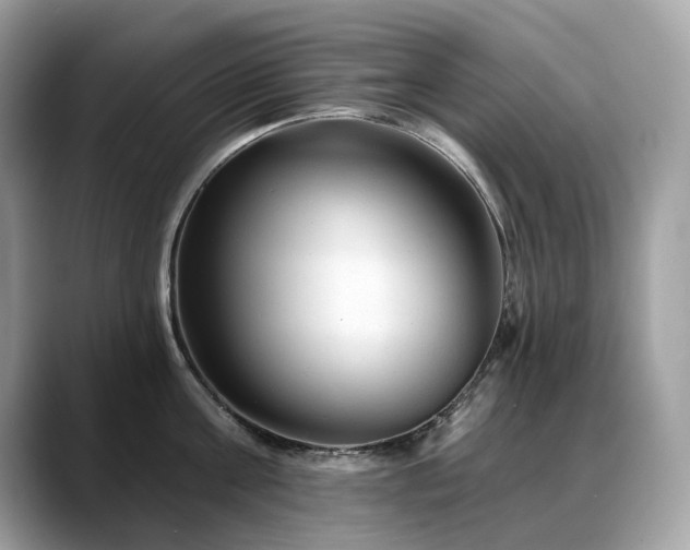 X0000088730811200705311428