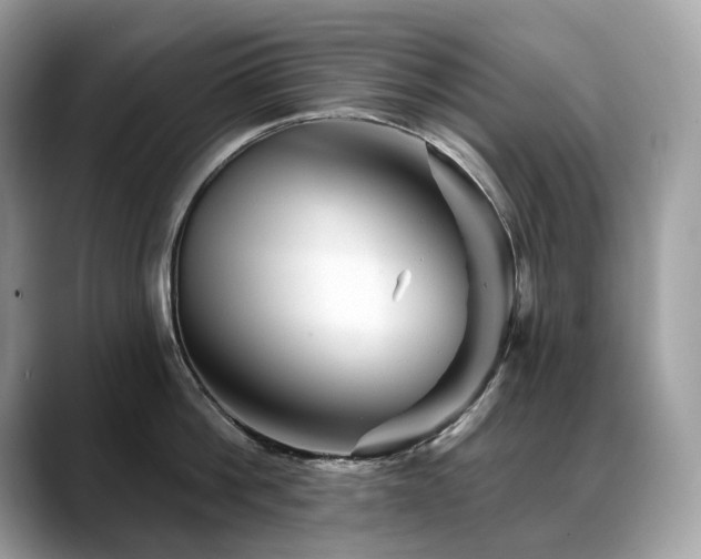 X0000088730812200705311428