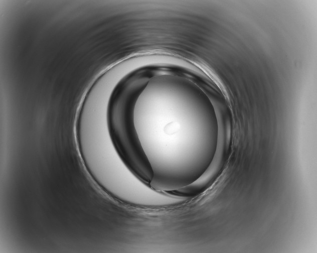 X0000088730813200705311428