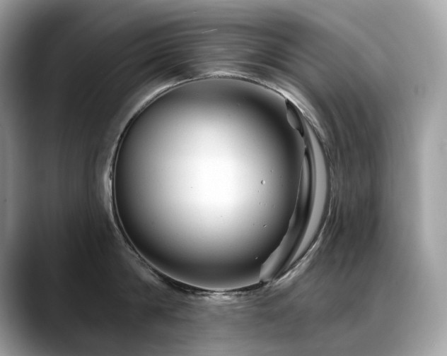 X0000088730814200705311428