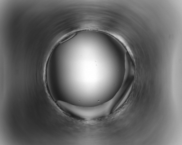 X0000088730815200705311428