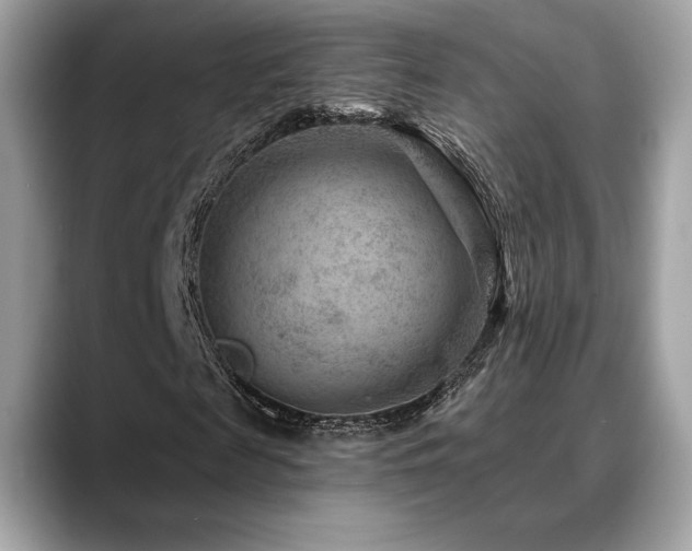 X0000088730817200705311427