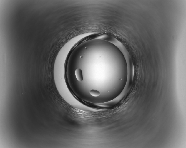 X0000088730818200705311427