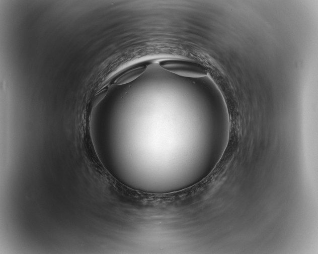 X0000088730821200705311427