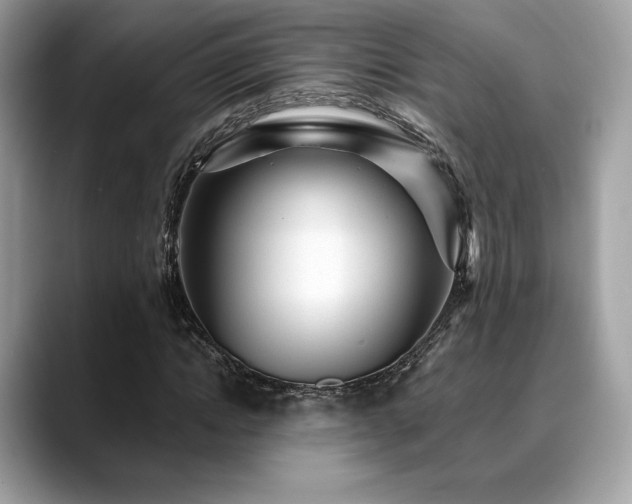 X0000088730822200705311427