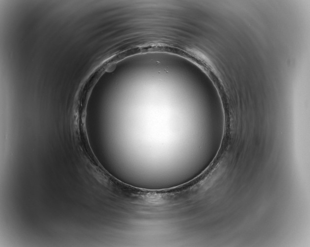 X0000088730827200705311427