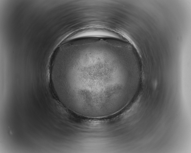 X0000088730829200705311427