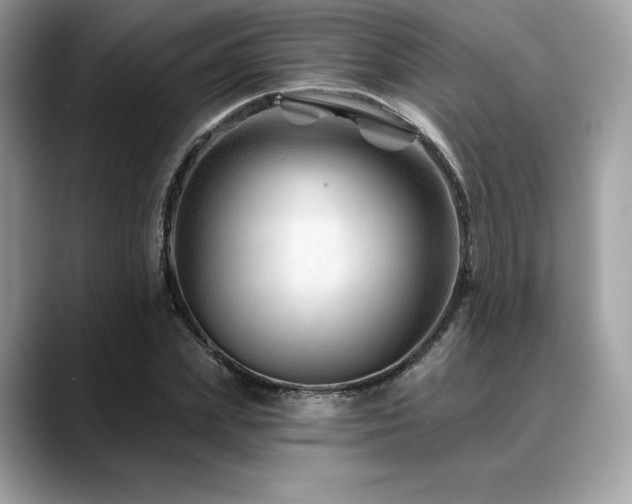 X0000088730831200705311427