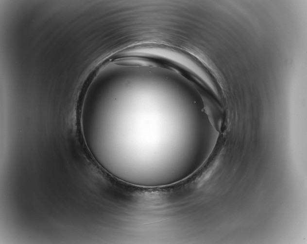 X0000088730834200705311427