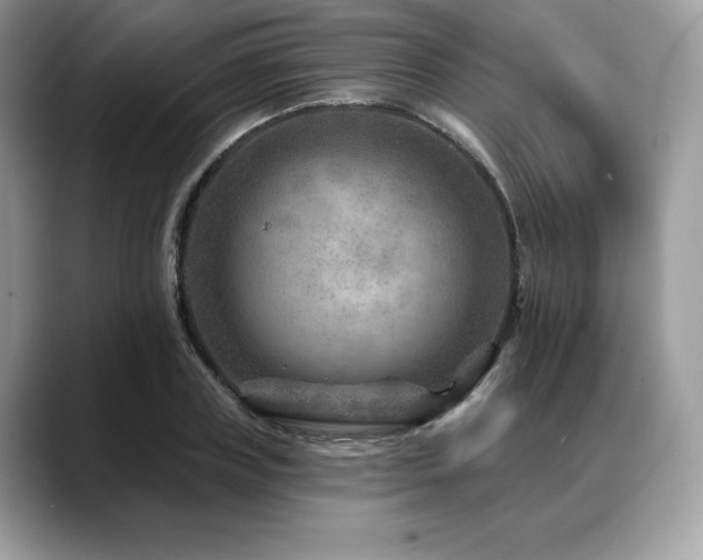 X0000088730835200705311427
