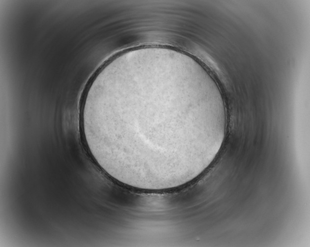 X0000088730836200705311427