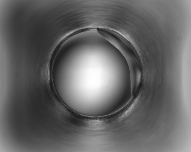 X0000088730838200705311427
