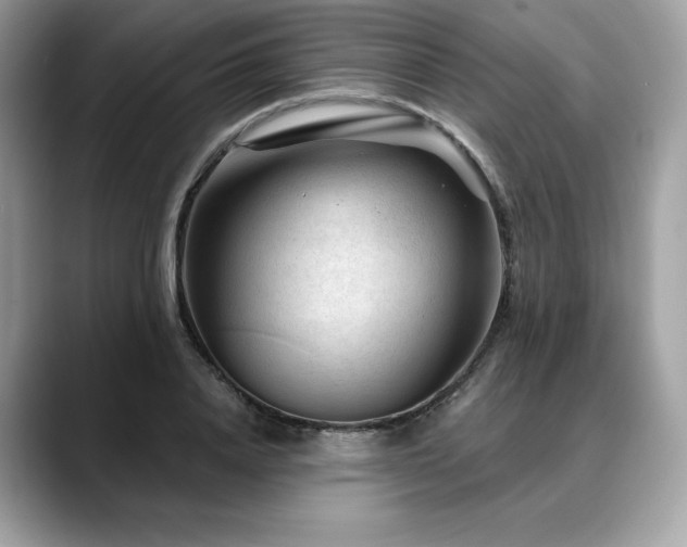 X0000088730840200705311427