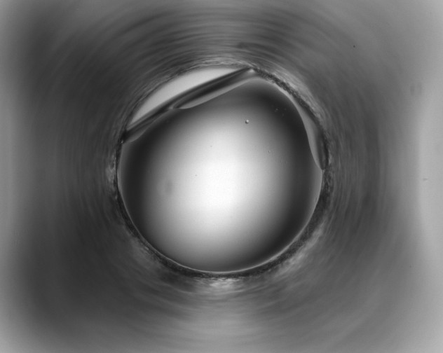 X0000088730841200705311427