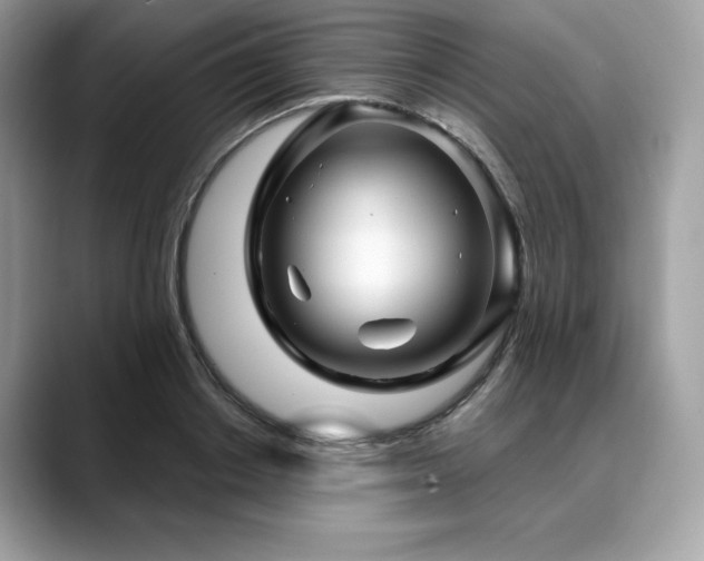 X0000088730842200705311427