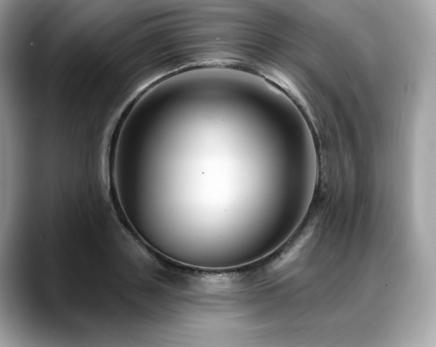 X0000088730843200705311427