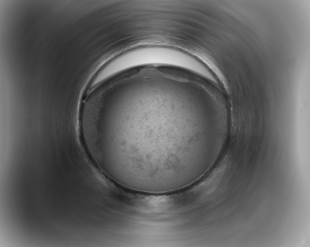 X0000088730845200705311427