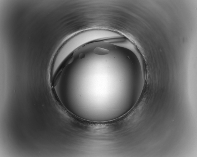 X0000088730846200705311427