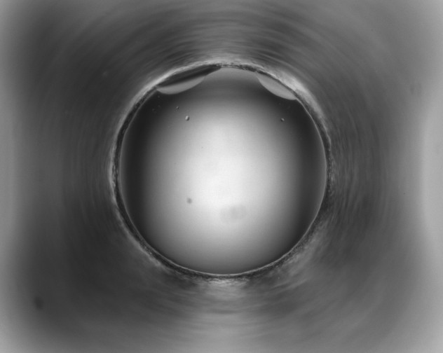 X0000088730847200705311427