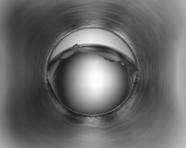 X0000088730850200705311427