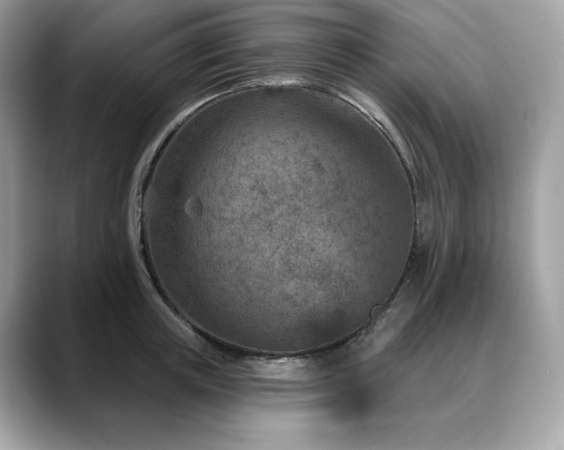 X0000088730851200705311427