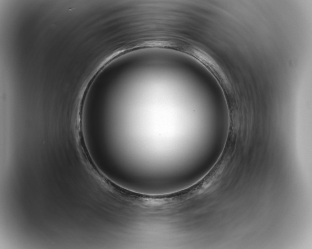 X0000088730852200705311427