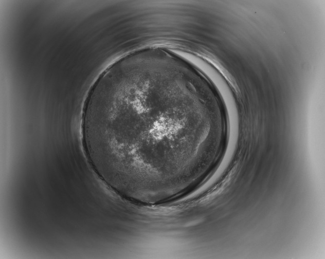 X0000088730853200705311427