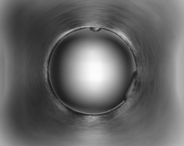 X0000088730854200705311427