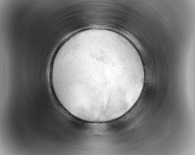 X0000088730856200705311427