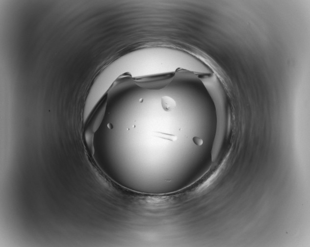 X0000088730857200705311427
