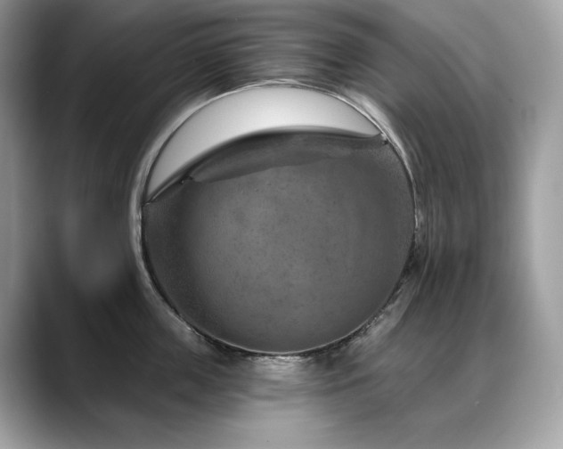 X0000088730859200705311427