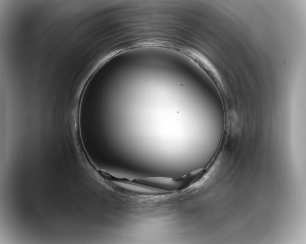 X0000088730860200705311427