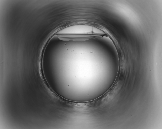 X0000088730861200705311427