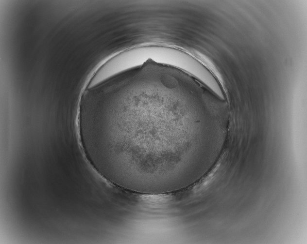 X0000088730863200705311427