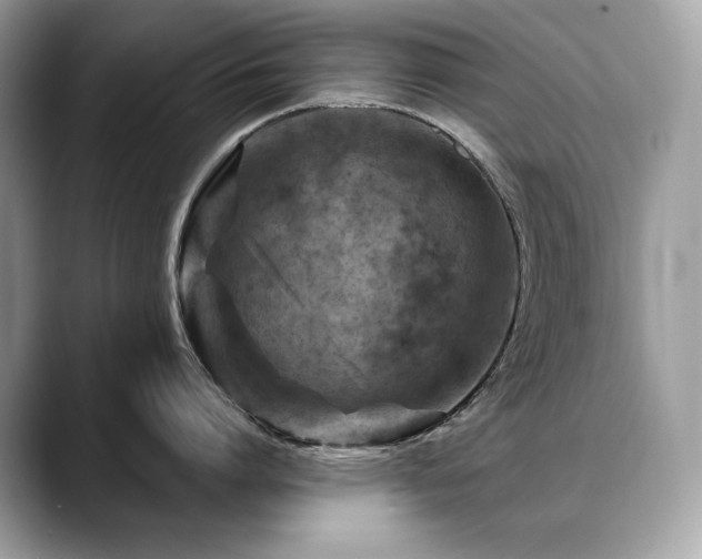 X0000088730864200705311428
