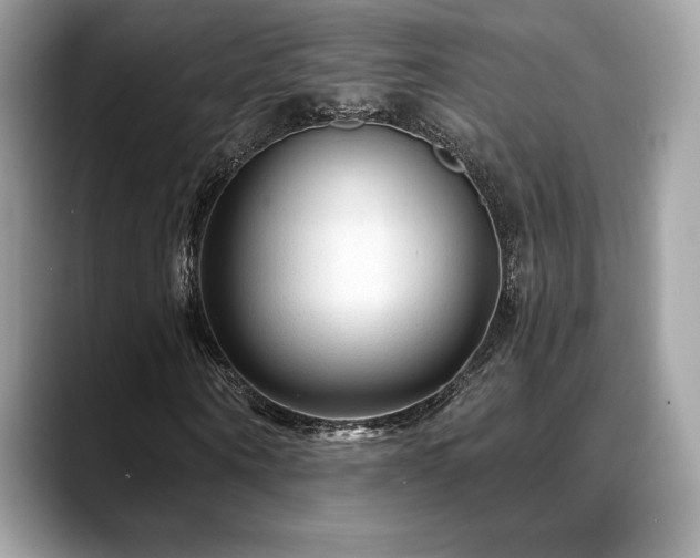 X0000088730866200705311427