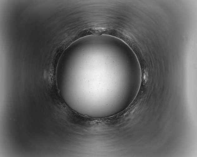 X0000088730867200705311427
