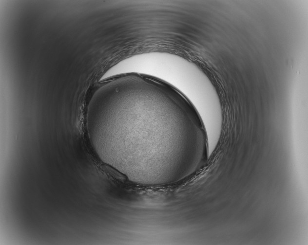 X0000088730868200705311427
