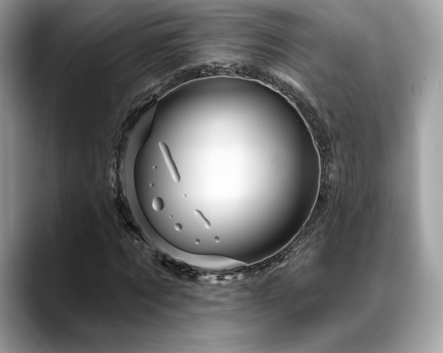 X0000088730869200705311427