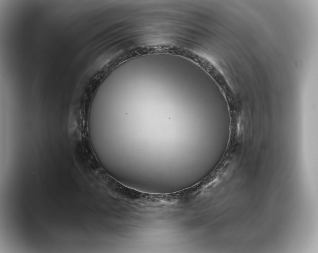 X0000088730871200705311427