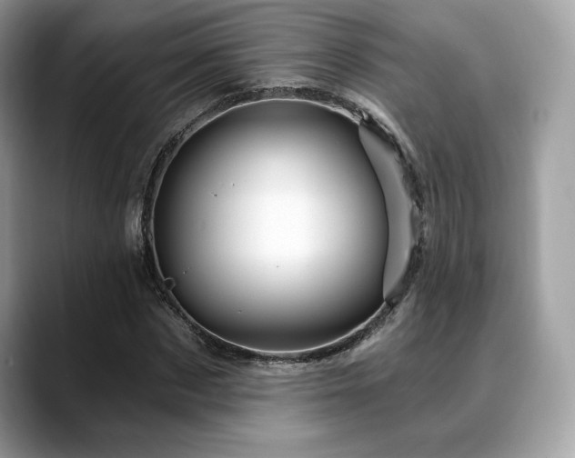 X0000088730873200705311427