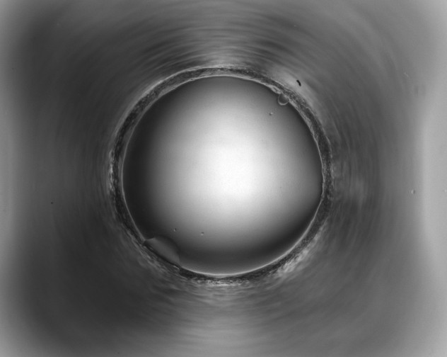 X0000088730875200705311427